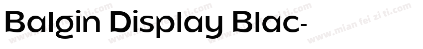 Balgin Display Blac字体转换